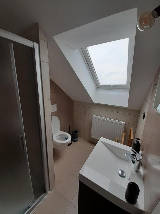 Apartmán Nad Hřištěm 441 Horní Planá Exteriér fotografie