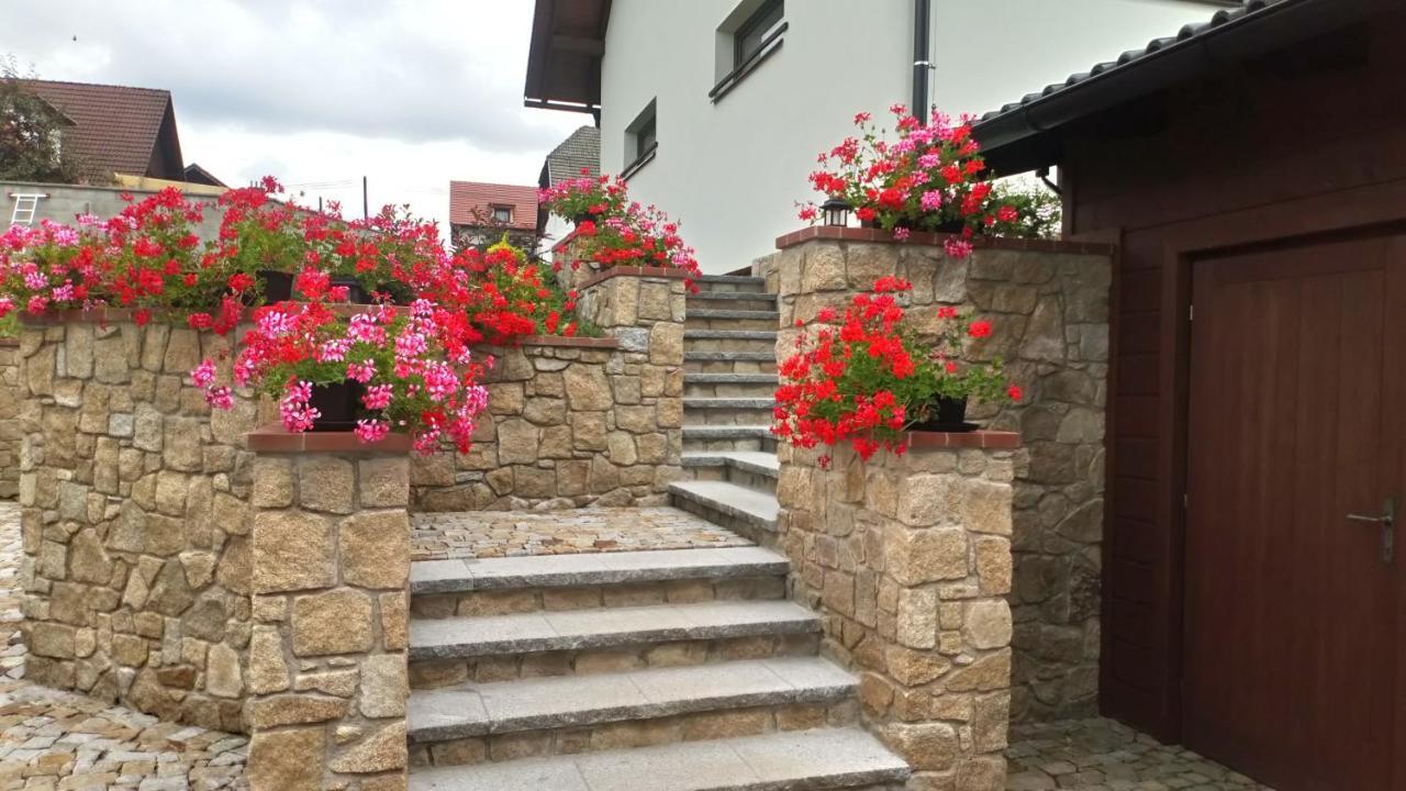 Apartmán Nad Hřištěm 441 Horní Planá Exteriér fotografie
